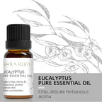 Set 12 Huiles Essentielles pour Diffuseur - Aromathérapie Maison