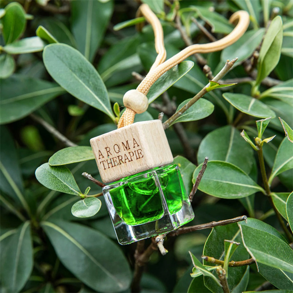 Essential Oil Diffuser for Car Car Air Freshener Pendant with Lanyard Design for Home Bedroom Office Decor