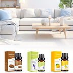 10ml Essential Oil for Diffuser & Humidifier, Aromatherapy Fragrance Oil, Water Soluble, Car, Home Office Scent