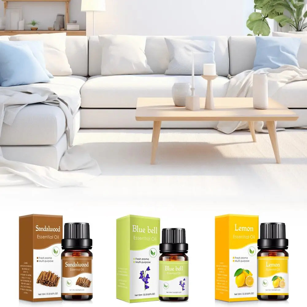 10ml Essential Oil for Diffuser & Humidifier, Aromatherapy Fragrance Oil, Water Soluble, Car, Home Office Scent