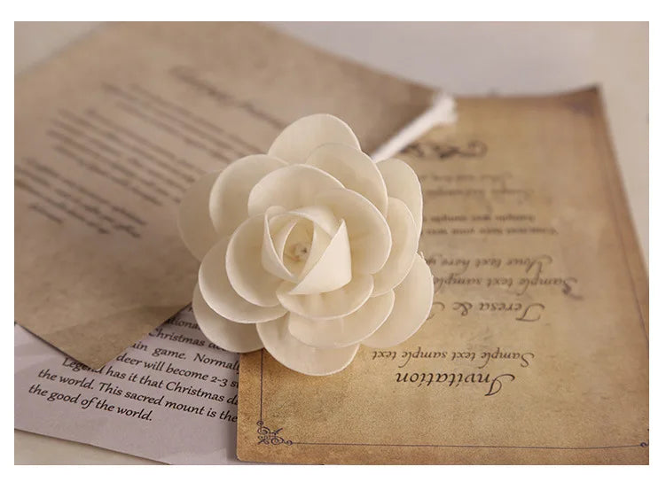 Aromatherapy Oil Diffusers For Home Indoor Bathroom Office Bedroom Car Long-Lasting Fragrance Minimalist Design Essential Oil