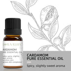 Set 12 Huiles Essentielles pour Diffuseur - Aromathérapie Maison