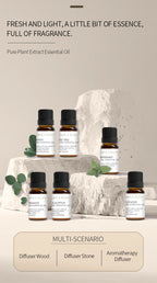 Set 12 Huiles Essentielles pour Diffuseur - Aromathérapie Maison