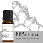 12 Essential Oils for Diffuser Essential Oil Aromatherapy Oils Home Care Essential Oils for Candle Making Oils Humidifier