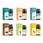 10ml Essential Oil for Diffuser & Humidifier, Aromatherapy Fragrance Oil, Water Soluble, Car, Home Office Scent