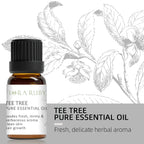 12 Essential Oils for Diffuser Essential Oil Aromatherapy Oils Home Care Essential Oils for Candle Making Oils Humidifier