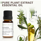 Set 12 Huiles Essentielles pour Diffuseur - Aromathérapie Maison