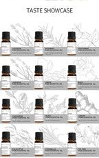 12 Essential Oils for Diffuser Essential Oil Aromatherapy Oils Home Care Essential Oils for Candle Making Oils Humidifier