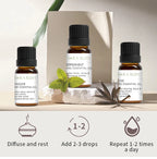 12 Essential Oils for Diffuser Essential Oil Aromatherapy Oils Home Care Essential Oils for Candle Making Oils Humidifier